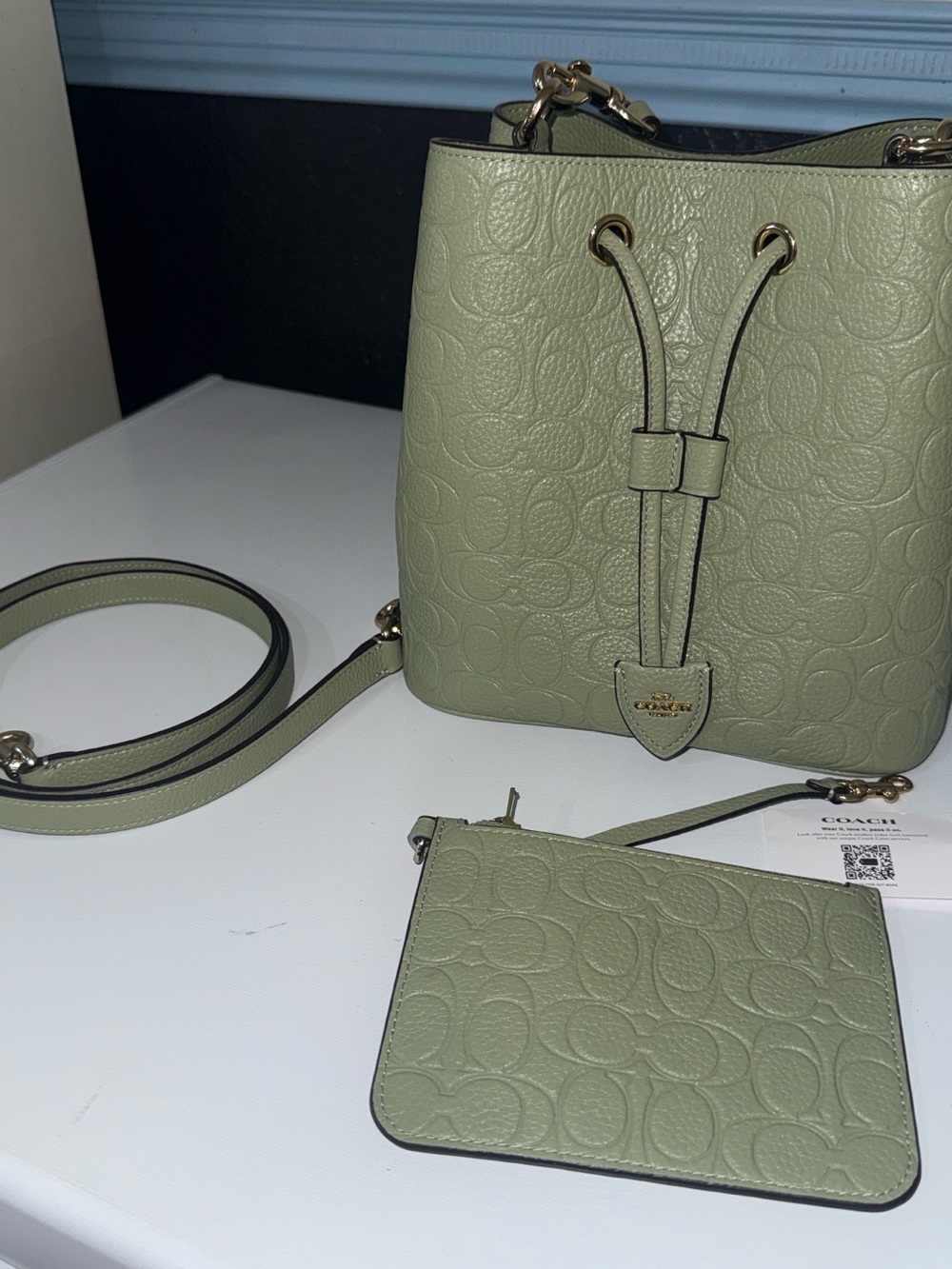 Coach Rowan Bucket Bag Pistachio